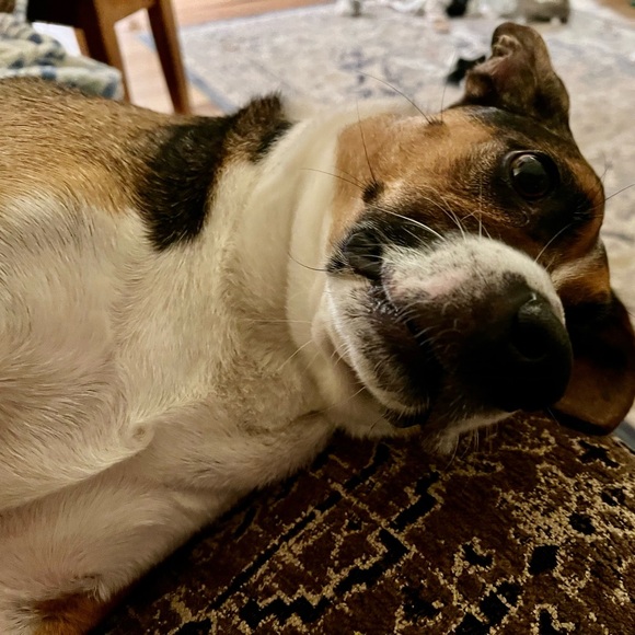 Meet your Posher, Karen - Picture 4 of 5